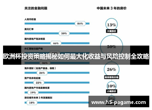 欧洲杯投资策略揭秘如何最大化收益与风险控制全攻略