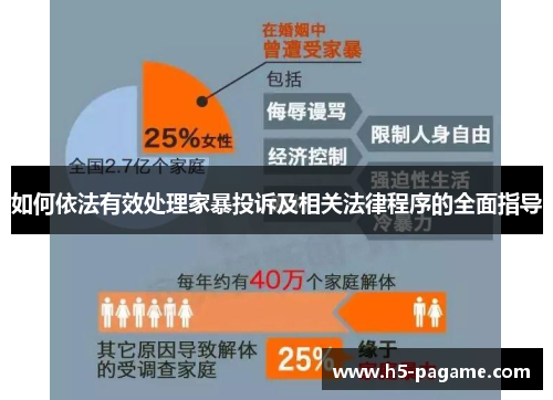 如何依法有效处理家暴投诉及相关法律程序的全面指导