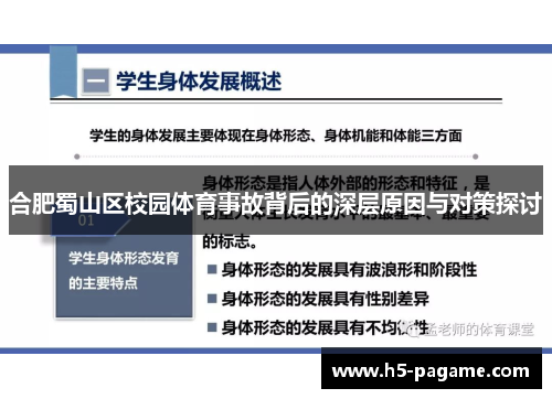 合肥蜀山区校园体育事故背后的深层原因与对策探讨