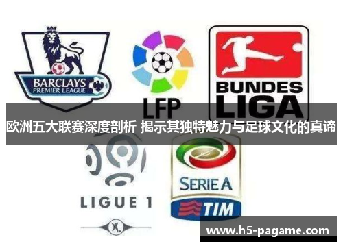 欧洲五大联赛深度剖析 揭示其独特魅力与足球文化的真谛