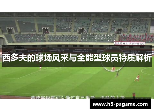 西多夫的球场风采与全能型球员特质解析