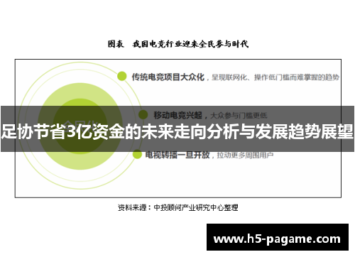 足协节省3亿资金的未来走向分析与发展趋势展望