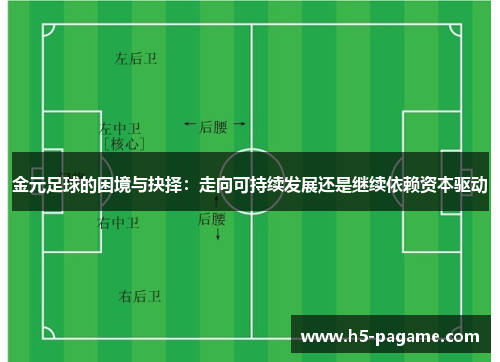 金元足球的困境与抉择：走向可持续发展还是继续依赖资本驱动