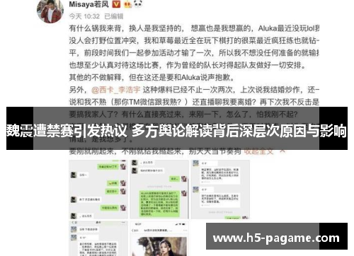 魏震遭禁赛引发热议 多方舆论解读背后深层次原因与影响