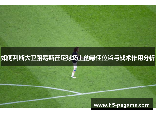 如何判断大卫路易斯在足球场上的最佳位置与战术作用分析