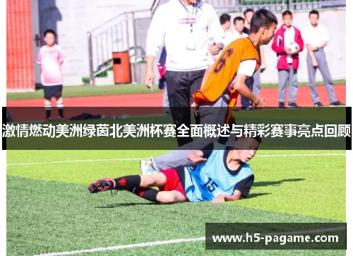 激情燃动美洲绿茵北美洲杯赛全面概述与精彩赛事亮点回顾 激情燃动美洲绿茵北美洲杯赛全面概述与精彩赛事亮点回顾