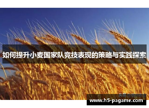 如何提升小麦国家队竞技表现的策略与实践探索