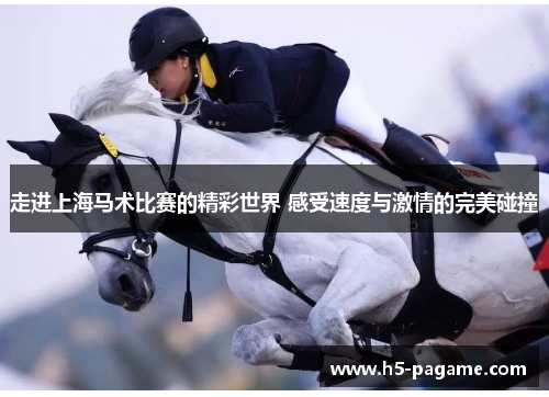 走进上海马术比赛的精彩世界 感受速度与激情的完美碰撞 走进上海马术比赛的精彩世界 感受速度与激情的完美碰撞