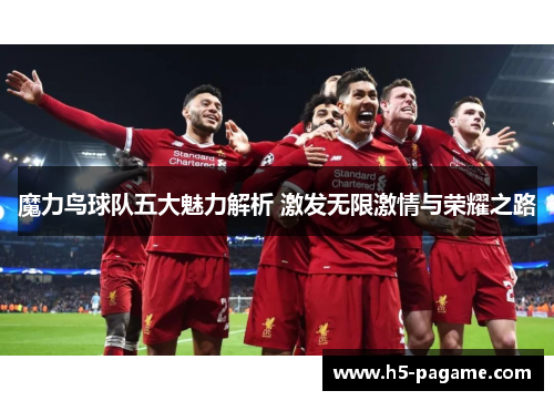 魔力鸟球队五大魅力解析 激发无限激情与荣耀之路