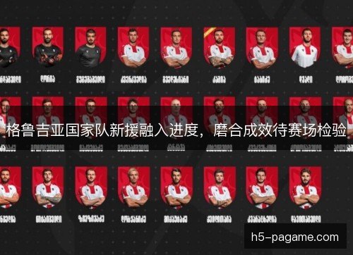 格鲁吉亚国家队新援融入进度，磨合成效待赛场检验