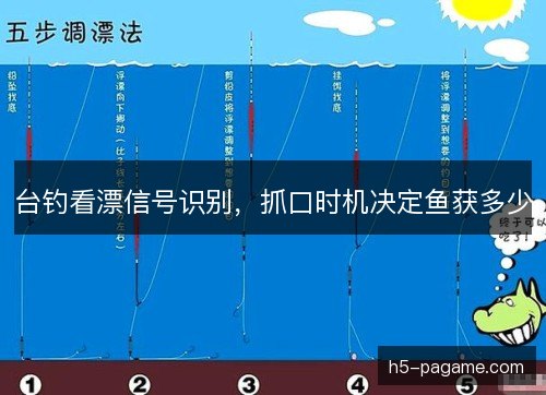 台钓看漂信号识别，抓口时机决定鱼获多少