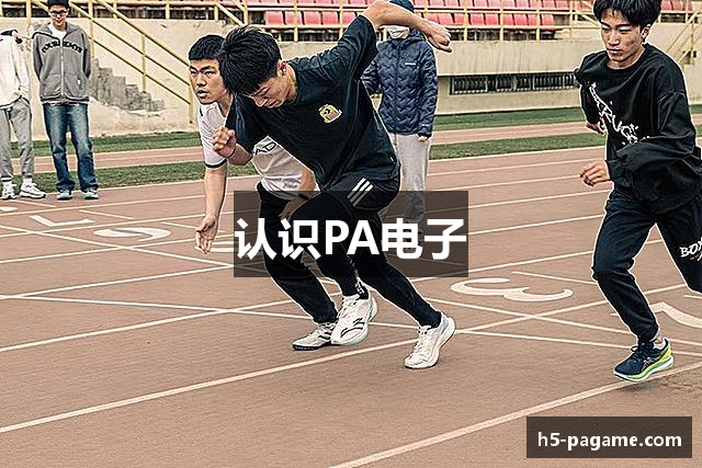 认识PA电子